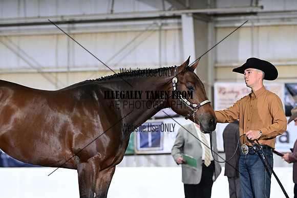 ASH_2014