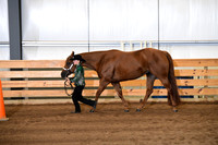 72. Youth Performance Mares