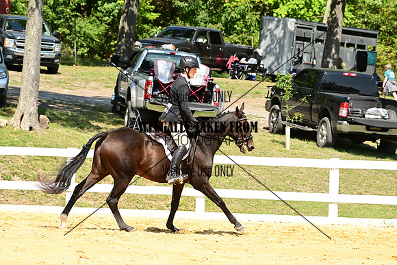 AJB_0657