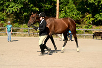 AJB_0377