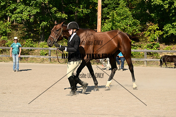 AJB_0377