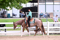 248. AQHA Amatuer WJ Western Pleasure