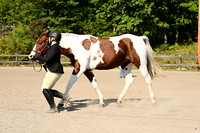 AJB_0387