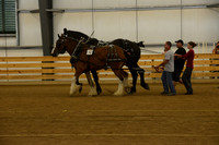Farm Team-12
