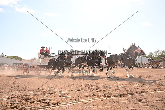 AJB_8632