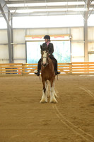 Open Riding English_wtc-11