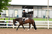 AJB_6234