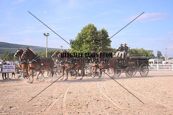 AJB_6453