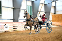 2H Equine