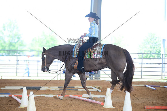 STE_2612