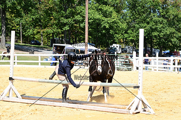AJB_0789