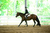 264. Amateur Hunter Under Saddle
