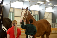 Sr. Youth Showmanship-19