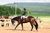 AJB_6556