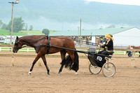 AJB_5986