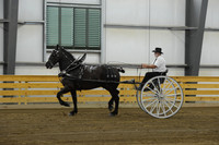 Men’s Cart_percherons-1