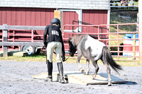 AJB_0996