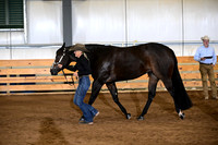 20. Performance Mares