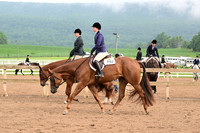 AJB_6253
