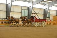 Four Horse Hitch-6