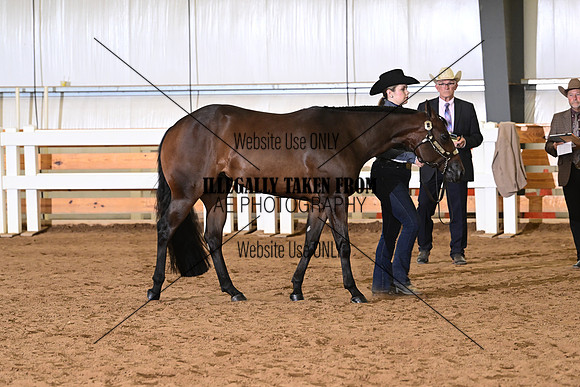 AJB_3835