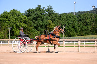 AJB_4401