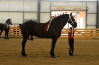 Jr. Youth Showmanship-16
