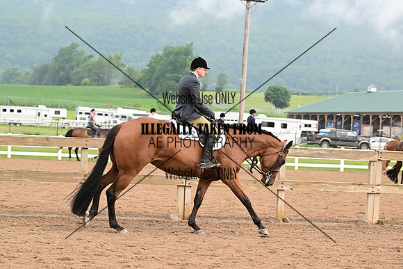 AJB_6221