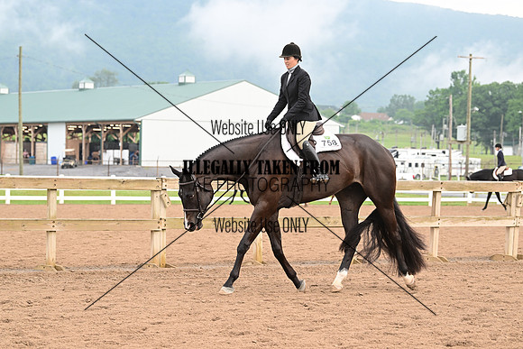 AJB_6196