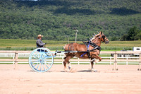 AJB_4845