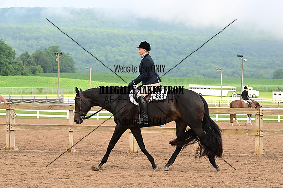 AJB_6328