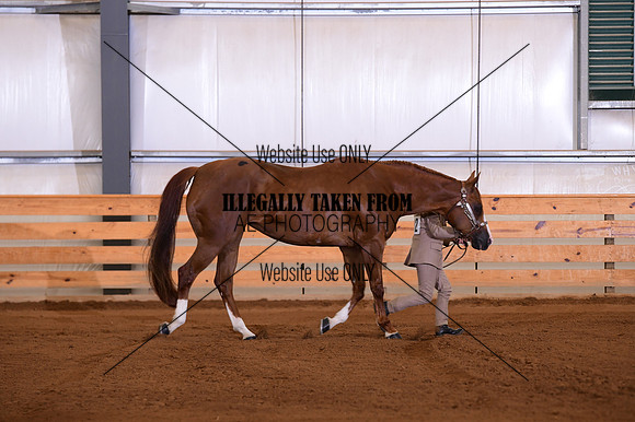 KE1_9143