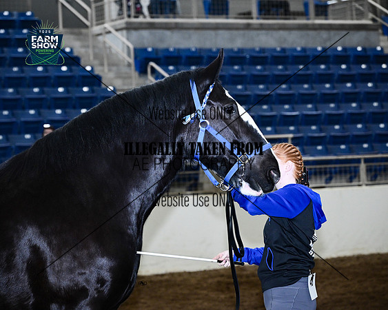 northeast_0428