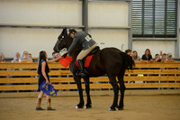 Open Riding English_wtc-16