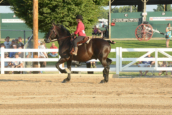 Open Riding_wtc-1