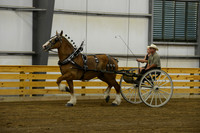 Ladies Cart_Belgians-16