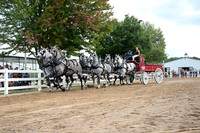 AJB_0629