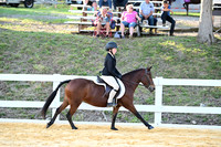 AJB_1537