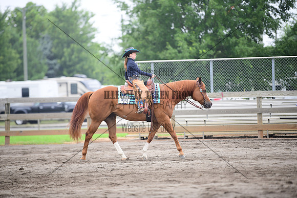 STE_4373