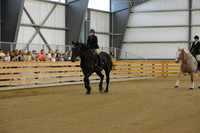 Open Riding English_wtc-1