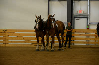 Farm Team-2