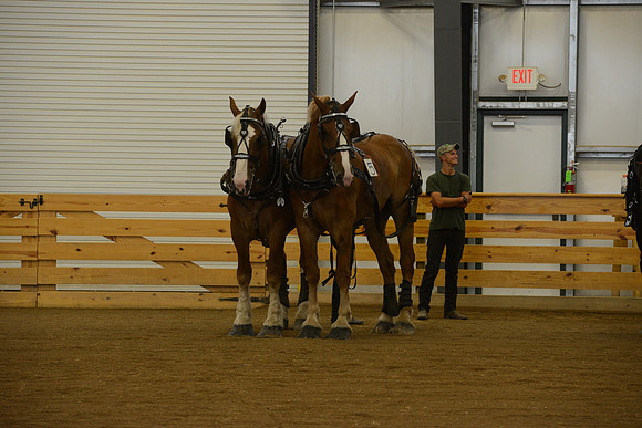 Farm Team-2