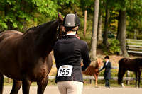 AJB_0157