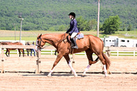 231. AQHA Youth WT HUS