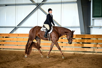 Level 1 Amateur Hunter Under Saddle