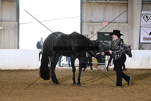 ASH_8836