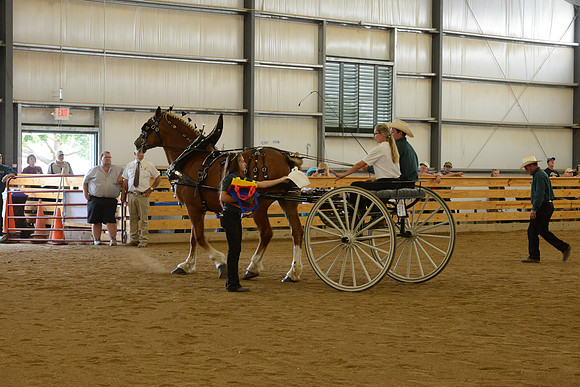Sr. Youth Cart-29