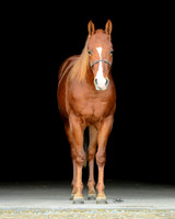 Chex_PSU2_4215