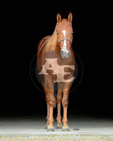 Chex_PSU2_4215