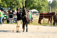 AJB_0296